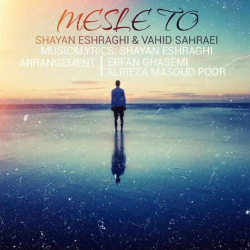Track 26148 - Shayan Eshraghi